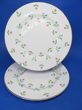 Royal Victoria Fine Bone China Pink Blue Flowers 8" Salad Plate  Bundle of 6